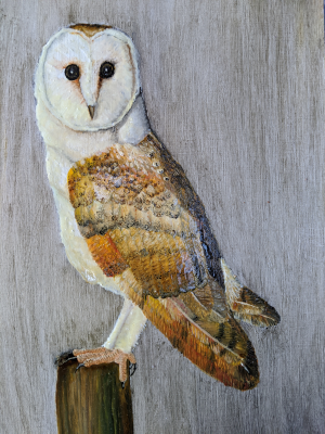 Barnowl