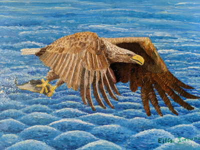 White Tailed Eagle