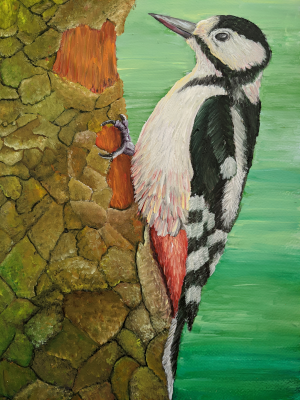 Woodpecker